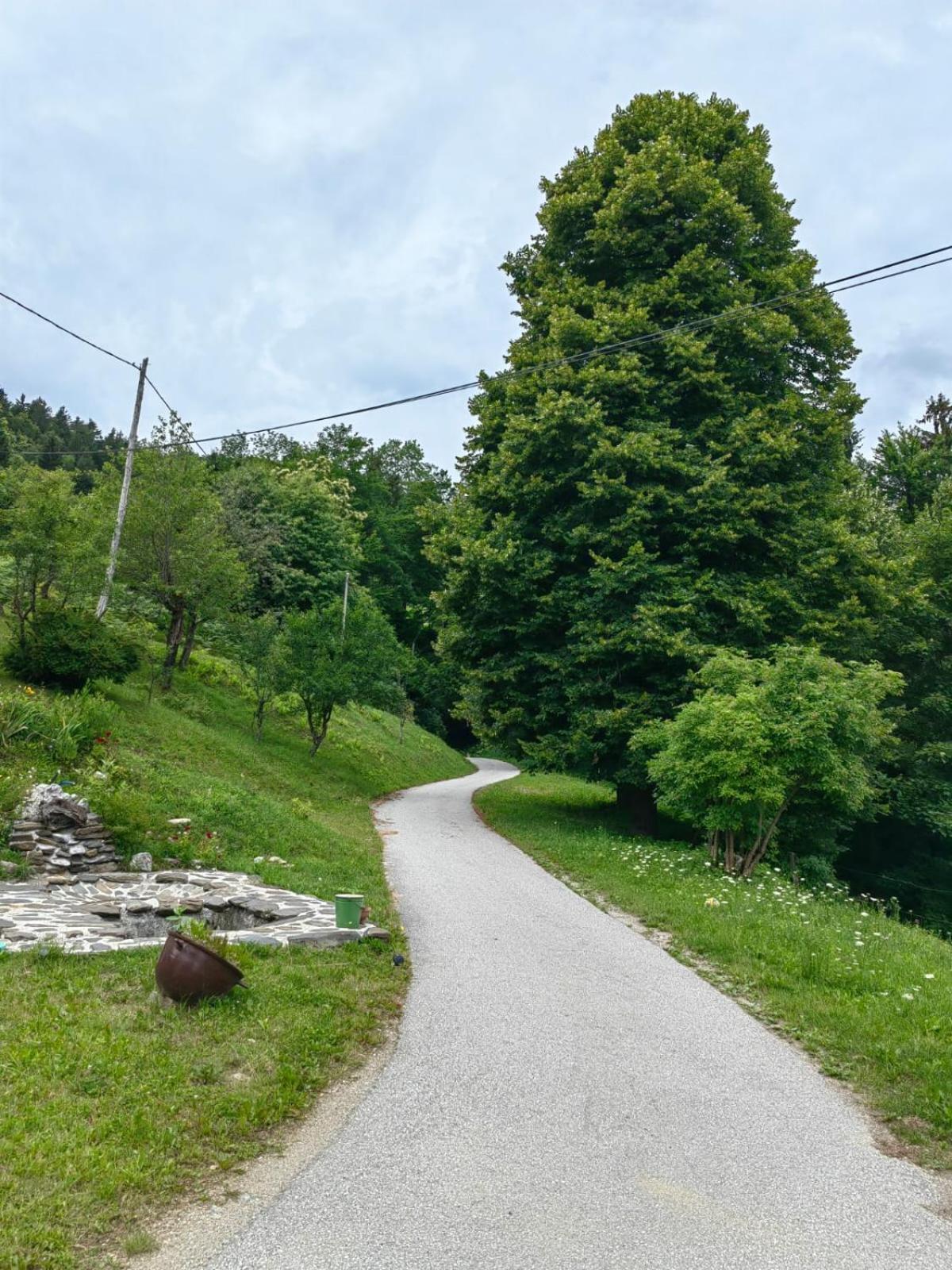 Healing Farm Gorenja Vas (Gorenja Vas-Poljane) Exterior foto